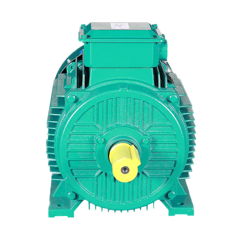 IE3 Series Three Phase Induction Motor(H80-355MM)