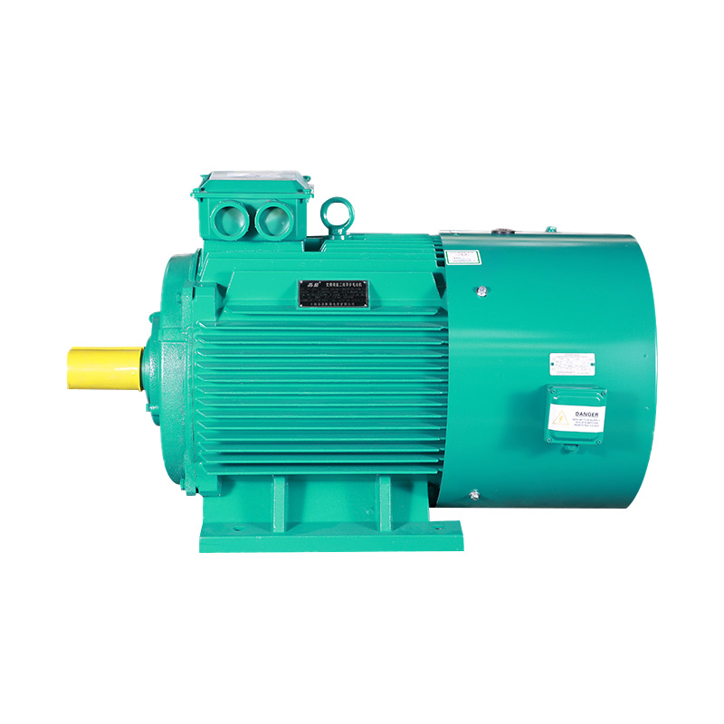 YPT Series Three Phase Induction Motor(H80-355MM)