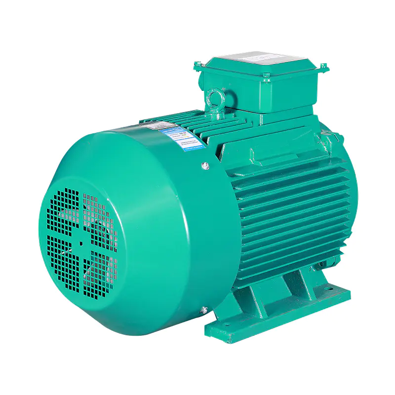 IE3 Series Three Phase Induction Motor(H80-355MM)